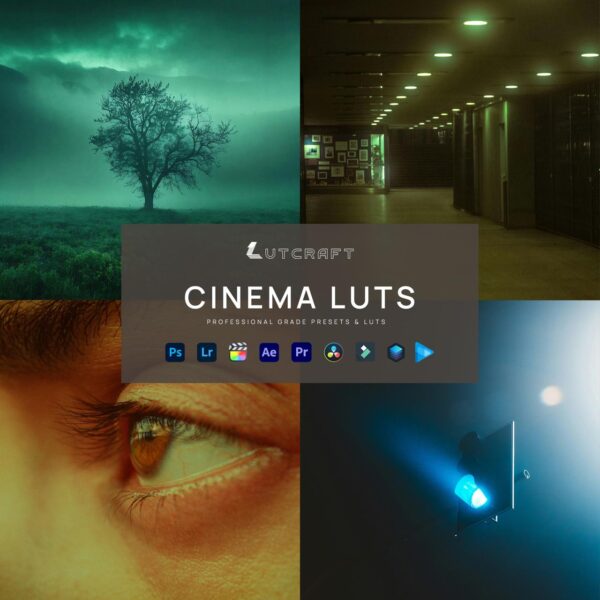 CINEMA LUT pack for Premiere Pro, Final Cut, DaVinci Resolve and Photoshop, product cover