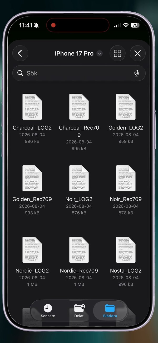 Choosing .cube files in the Files app